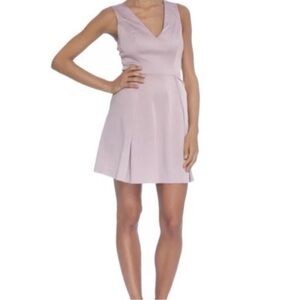 Zac Posen Leslie Open Tie Back Pink Fit And Flare Dress Sz 4 Blush Pink